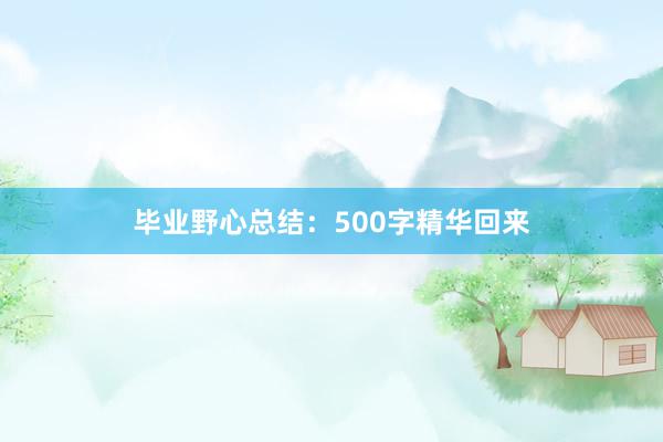 毕业野心总结：500字精华回来